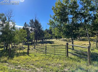 Homestake Pl, Florissant, CO 80816