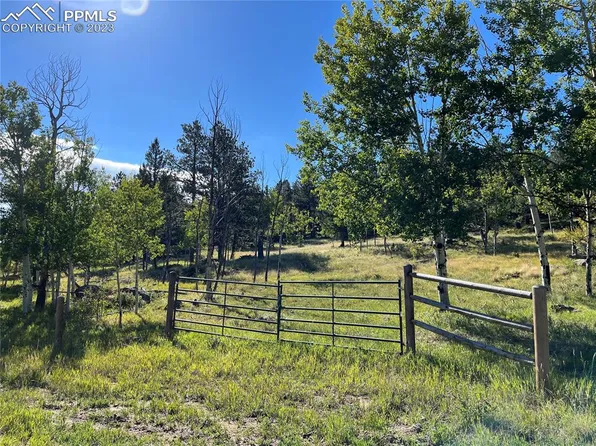 Homestake Pl, Florissant, CO 80816