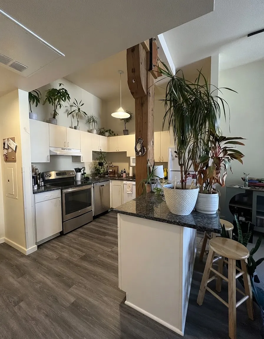 1 bed, 860 sqft, $1,125 — Photo 2