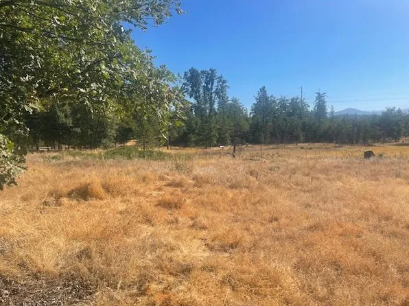 9728 Ernst Rd, Coulterville, CA 95311