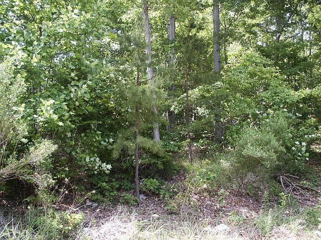 1st image of 4823 Baywood Ct