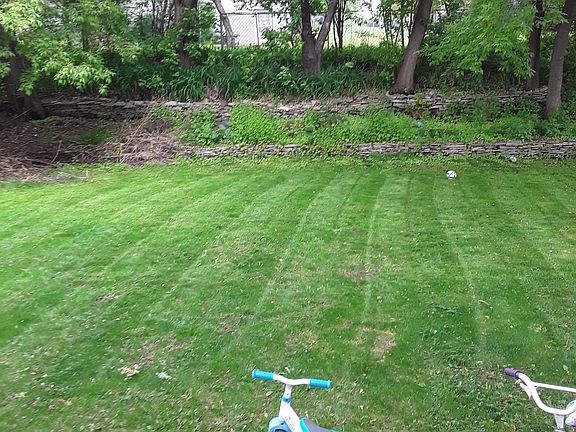 Large backyard