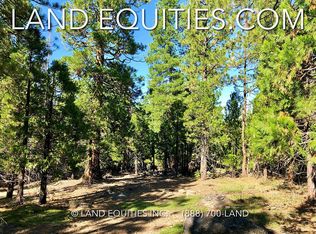 33100 Leopard Ln, Bonanza, OR 97623