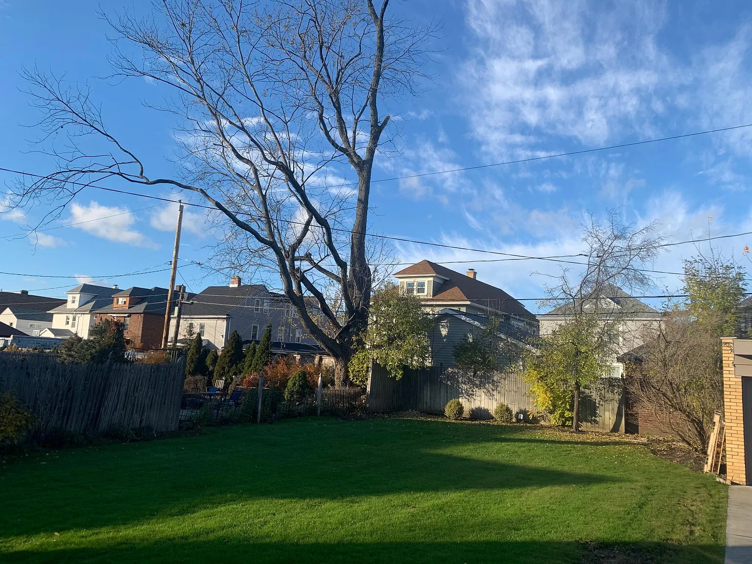 1050 Amherst St — Photo 4