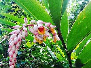 3021 Manoa Rd #3021, Honolulu, HI 96822