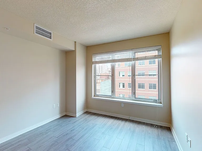 Apartment living room with wood-style flooring.