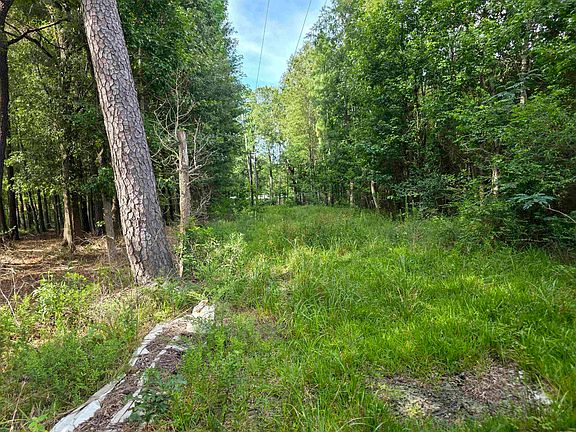 4th image of 100 County Road 853