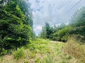4th image of 0 Old Douglas Mill Rd