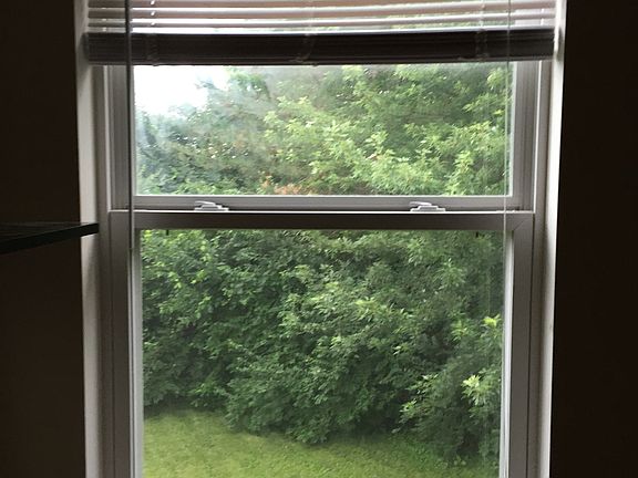 Look into back yard