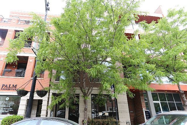 1st image of 1724 W Belmont Ave APT 3
