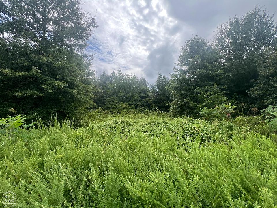 1st image of 88 County Road 1661