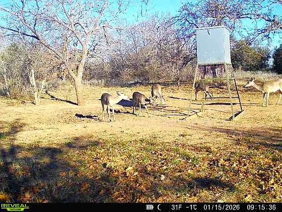 5th image of 16820 County Road 429
