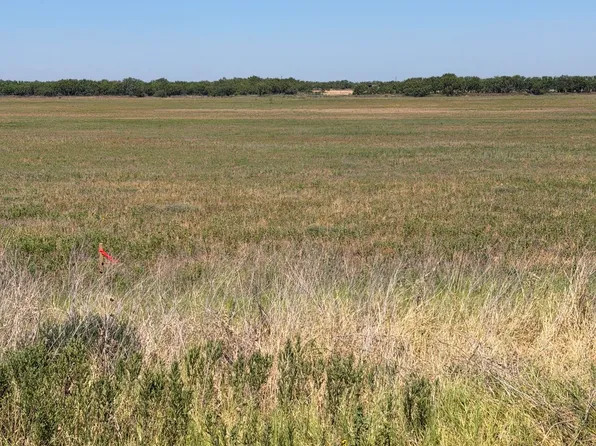 LOT 25 County Road 497, Anson, TX 79501