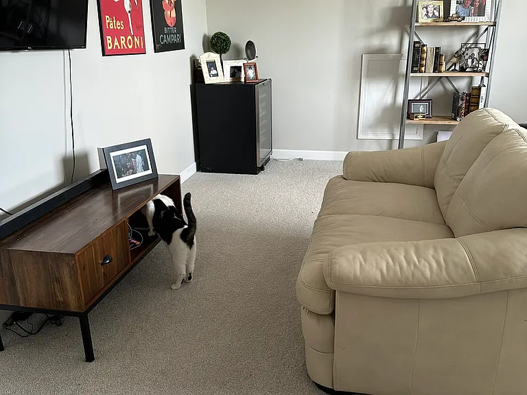 1319 Decatur Cir — Photo 30