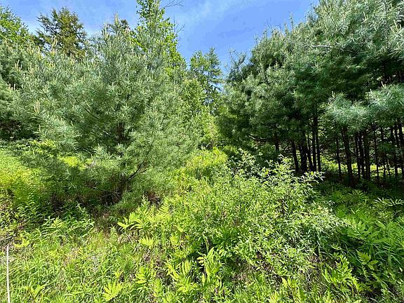 3rd image of 00 Mink Hill Road