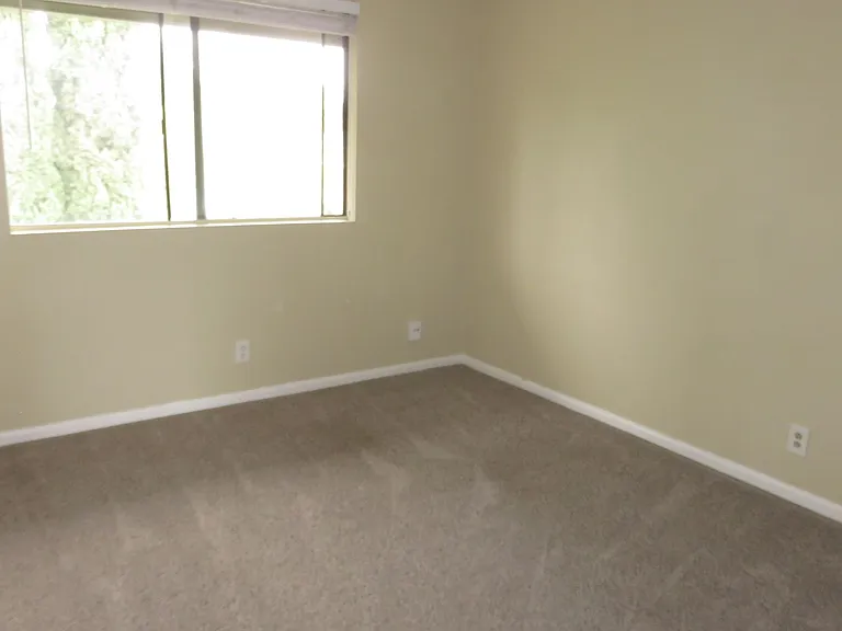 3313 Caminito Gandara — Photo 17