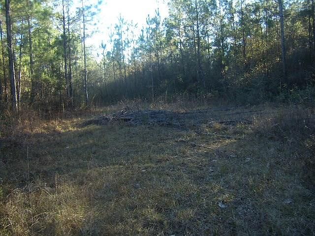 2nd image of Shannon Dr