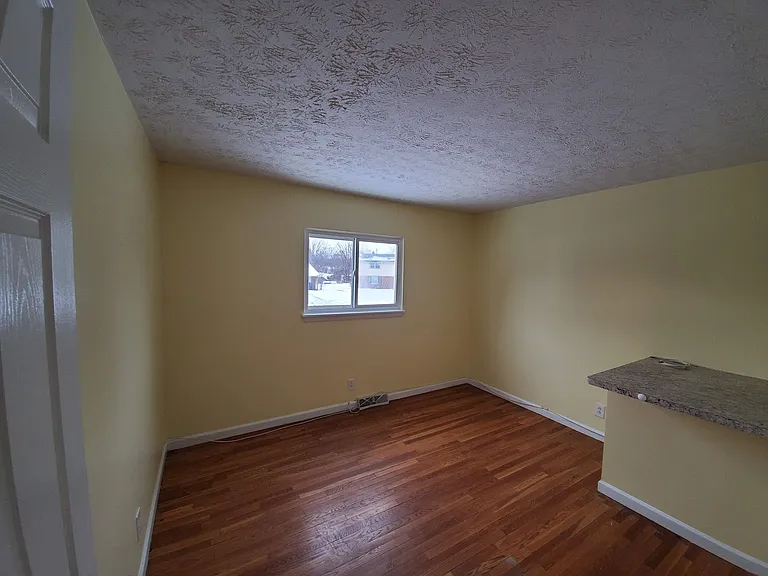 32 Golden Rod Ln — Photo 10