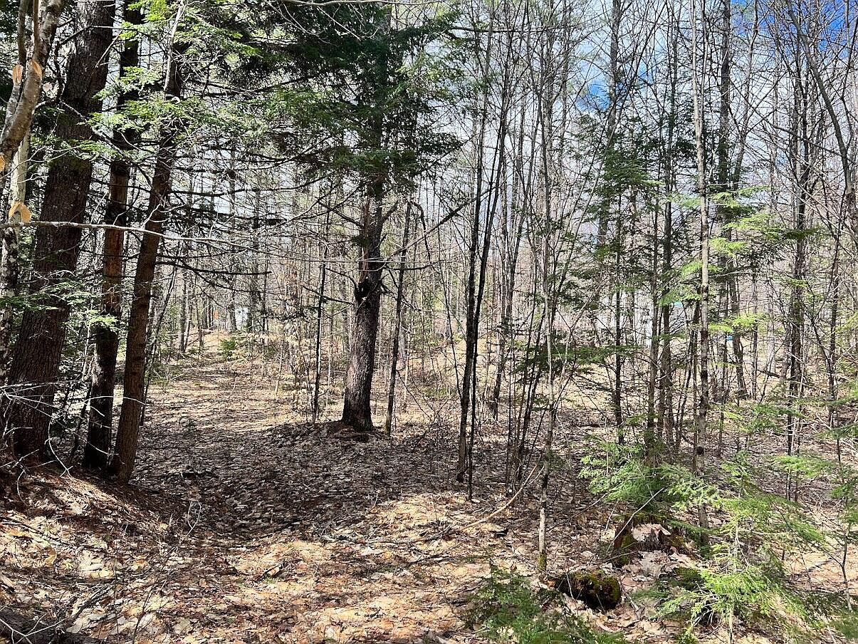 Lot B Bisbee Town Road, Waterford, ME 04088 | Zillow