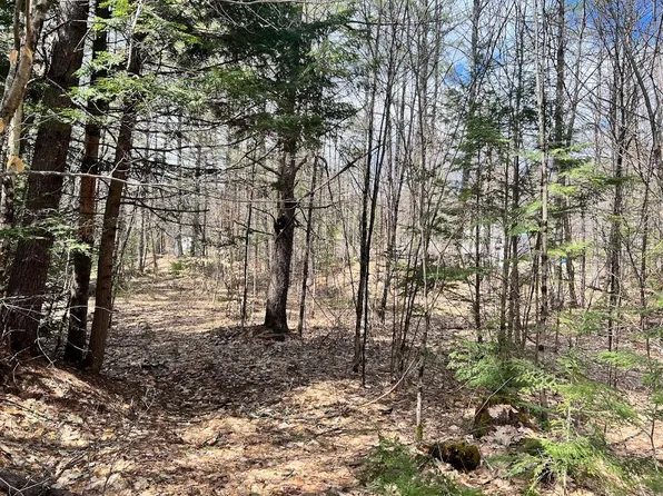 Lot B Bisbee Town Road, Waterford, ME 04088