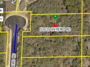12616 Jaybird Rd, Weeki Wachee, FL 34614