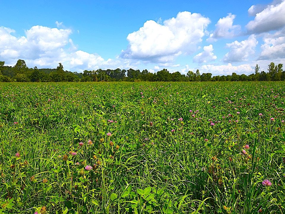 1st image of 8731 Township Road 559