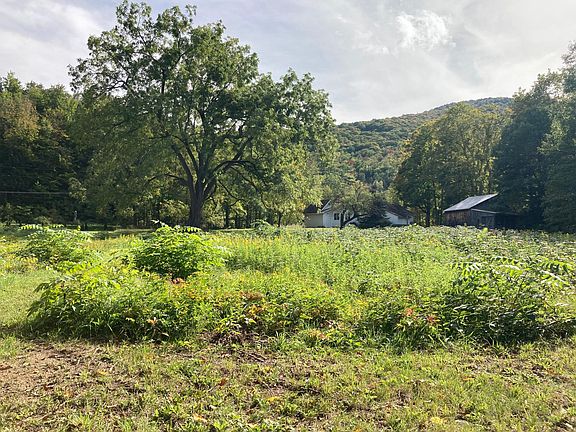 View of great walnut from the woods