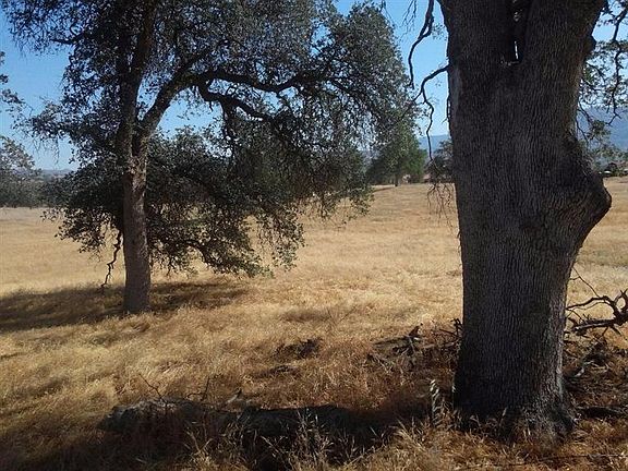 5th image of 15192 Millerton Road