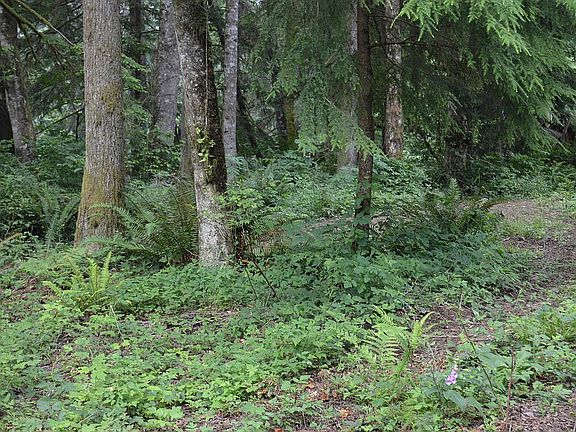 Beautiful Park Setting