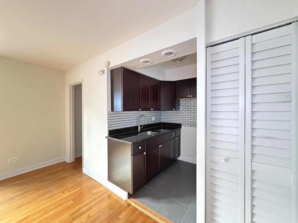 Awesome Studio, 1 Bath at Sheridan + Farwell (Rogers Park) — Photo 4