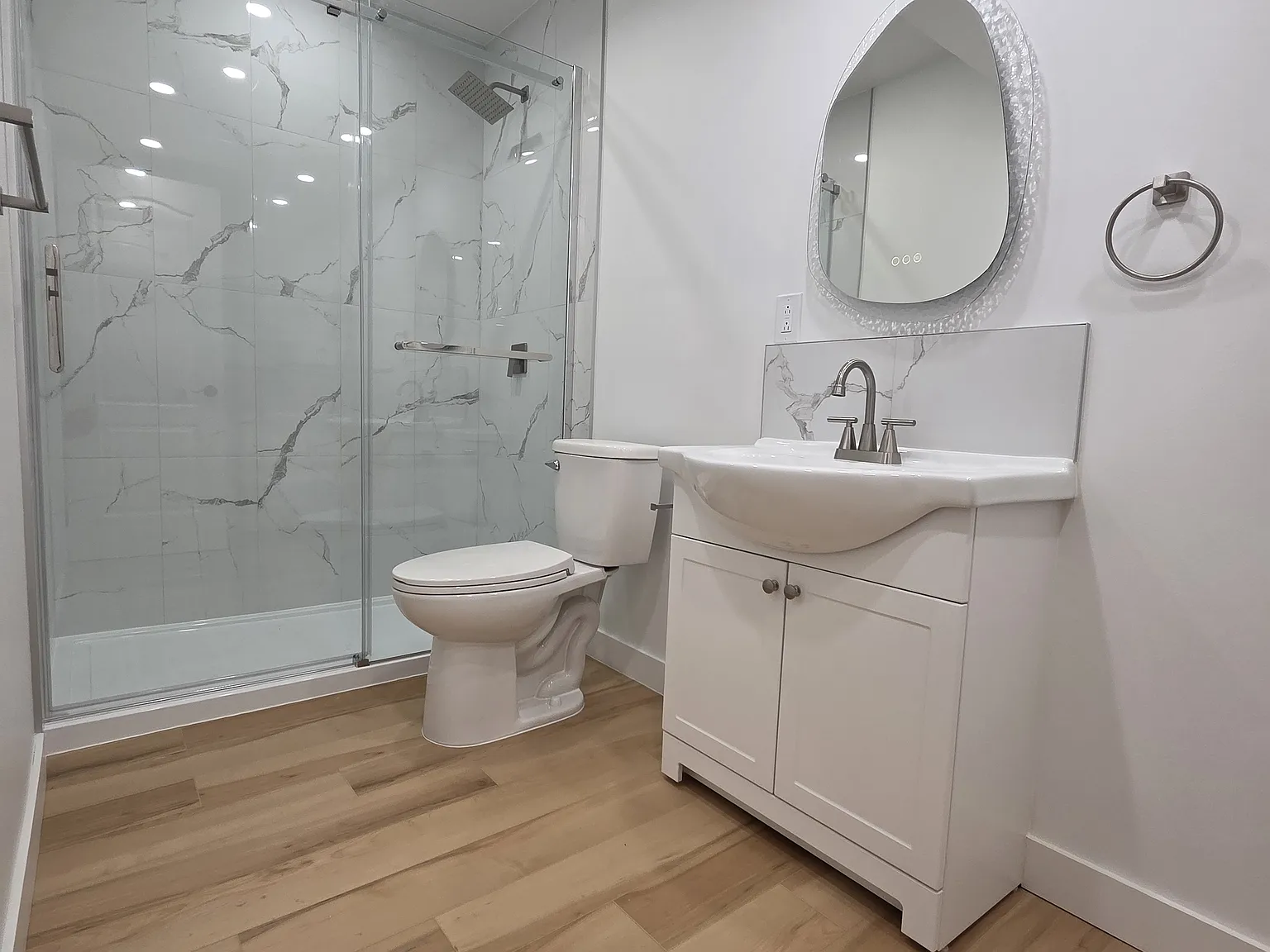 439 Aster Drive BSMT Suite — Photo 1