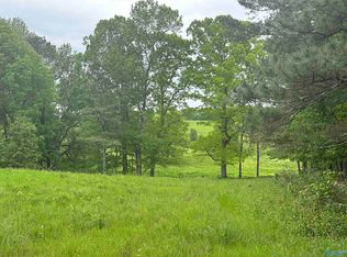 11.6 Cranford Rd, Arab, AL 35016