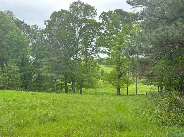 11.6 Cranford Rd, Arab, AL 35016