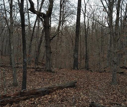 5th image of Cathedral Ln