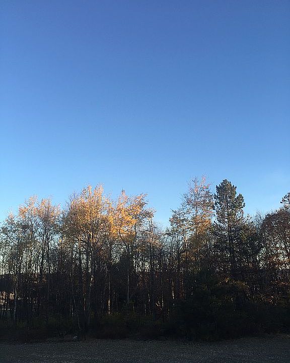 Commercial Lot 4-Sale Rt 903