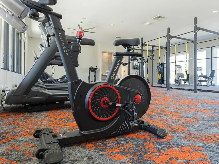 Gym Spin Bike