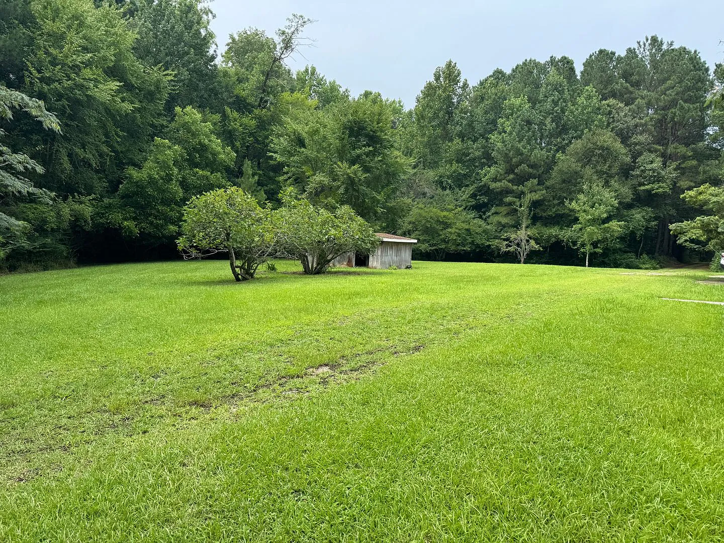 Beautiful private oasis located in Pamlico County — Photo 3
