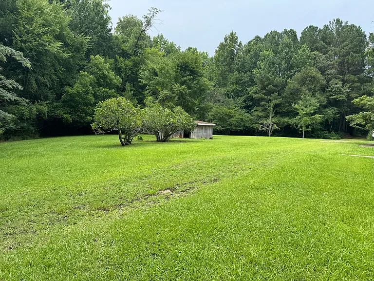 748 Alligator Creek Rd — Photo 3