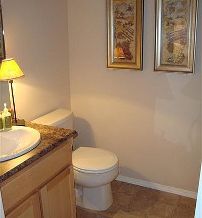 The guest bath on the main level.