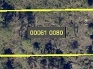 2903 Irma Ave N, Lehigh Acres, FL 33971