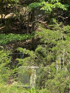 Lots 7 & 8 Oak Glen Dr, Mountain Home, AR, 72653