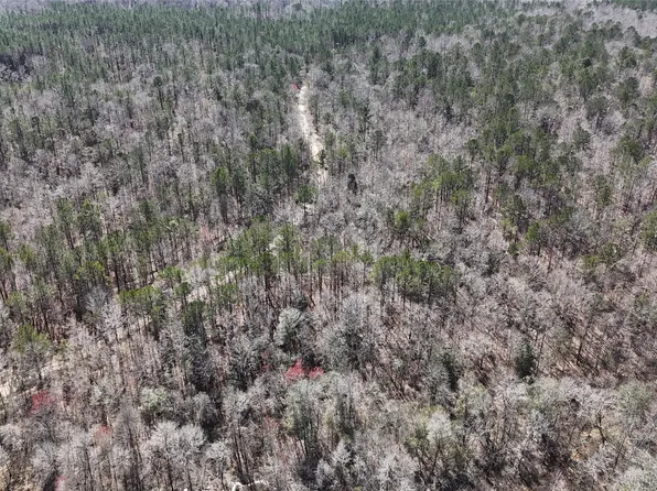 0 Old Meriwether Trl, Greenville, AL 36037