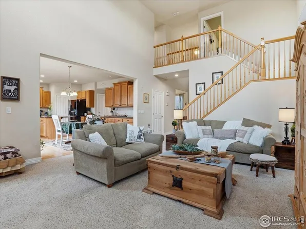 16821 Roberts St, Mead, CO 80542