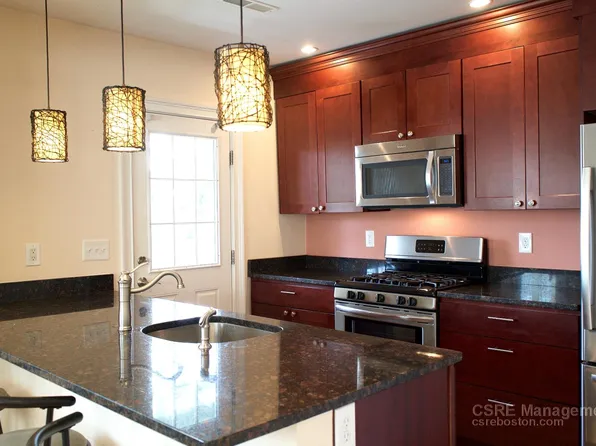 64 Litchfield St #1, Brighton, MA 02135