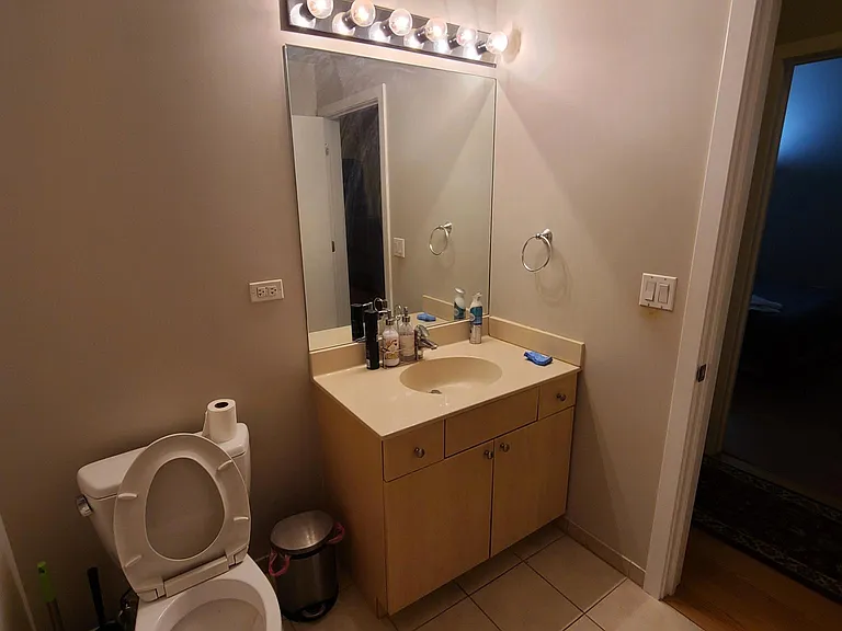 235 W Van Buren St #2522 — Photo 9