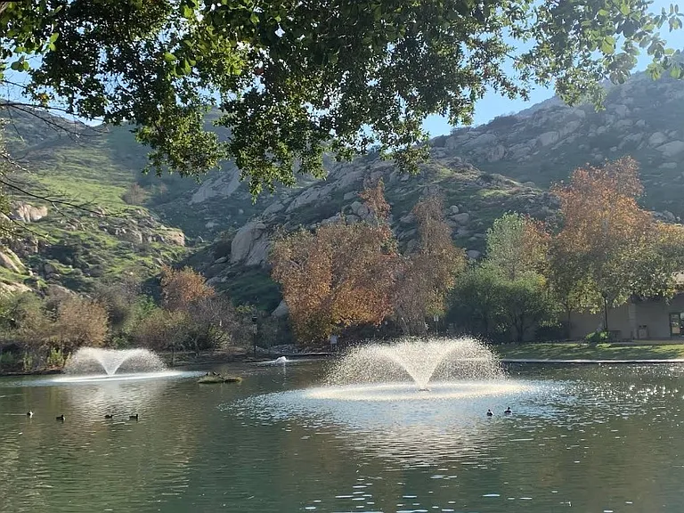 Walk to the park