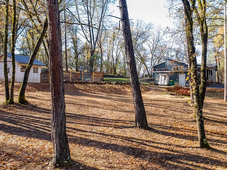 400 Digger Pine Ln — Photo 12
