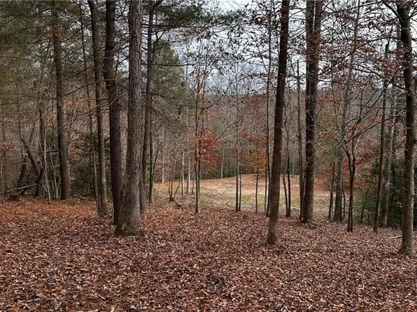 Mount Carmel Rd, Moravian Falls, NC 28654
