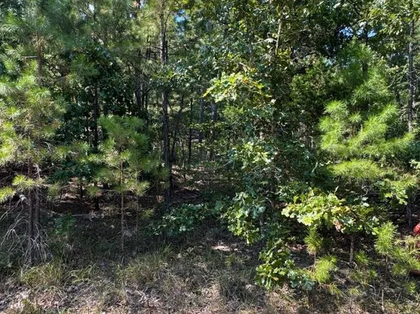 65 Tomelloso Way, Hot Springs Village, AR 71909