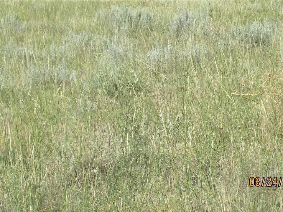 2nd image of 3517 Sand Drift Cir